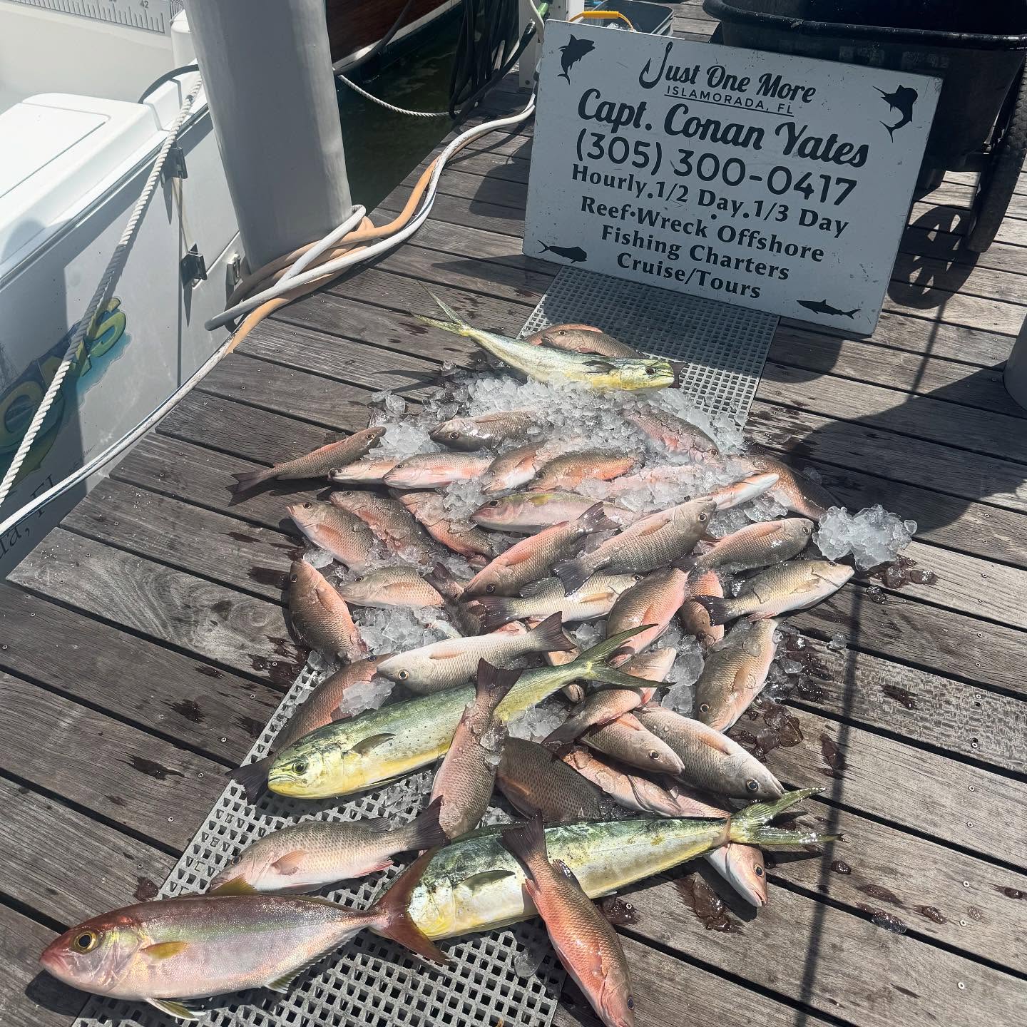 Half-Day Charter - Just Cuz Sportfishing