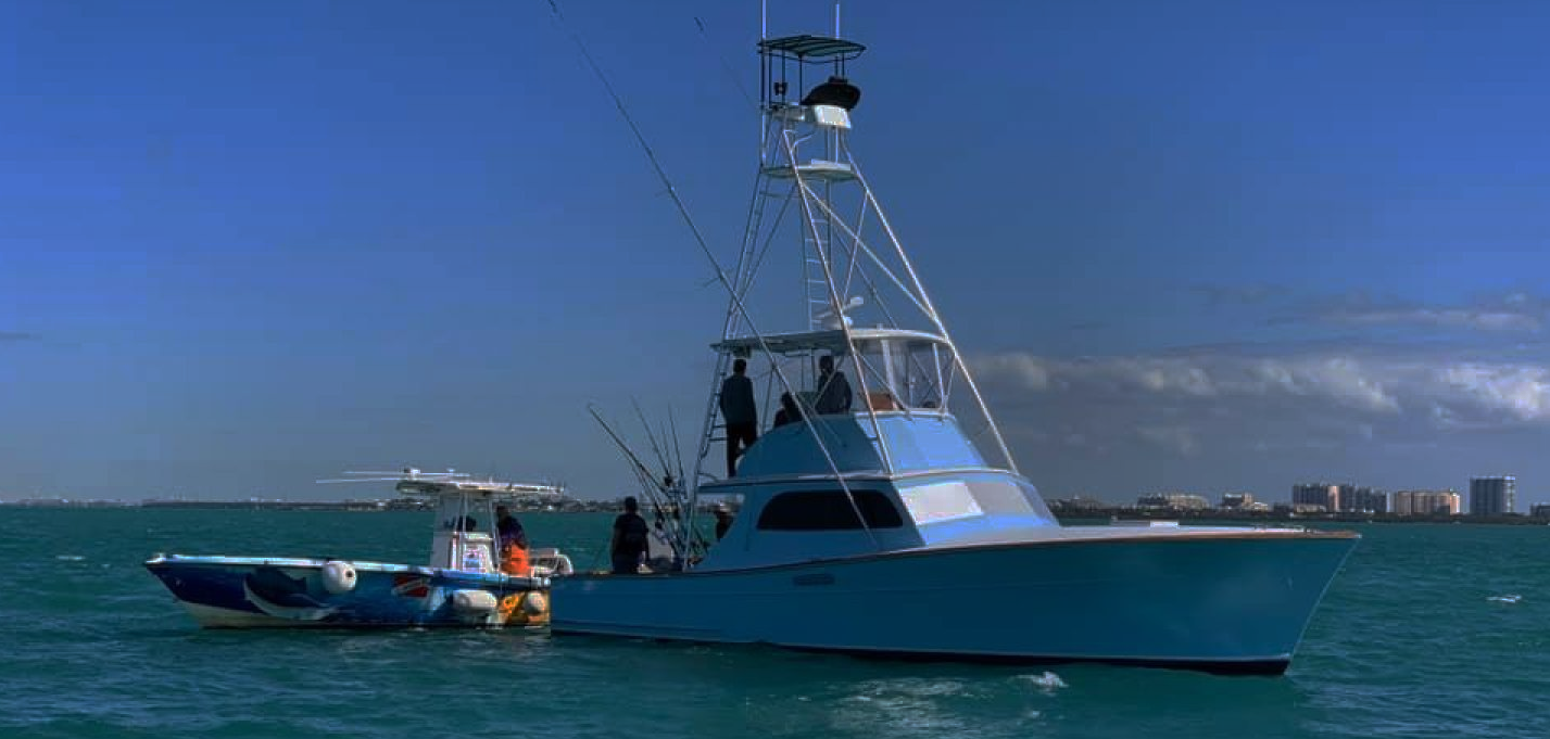 Snorkel & Sandbar Trip - Just Cuz Sportfishing